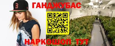 крисы Кимры