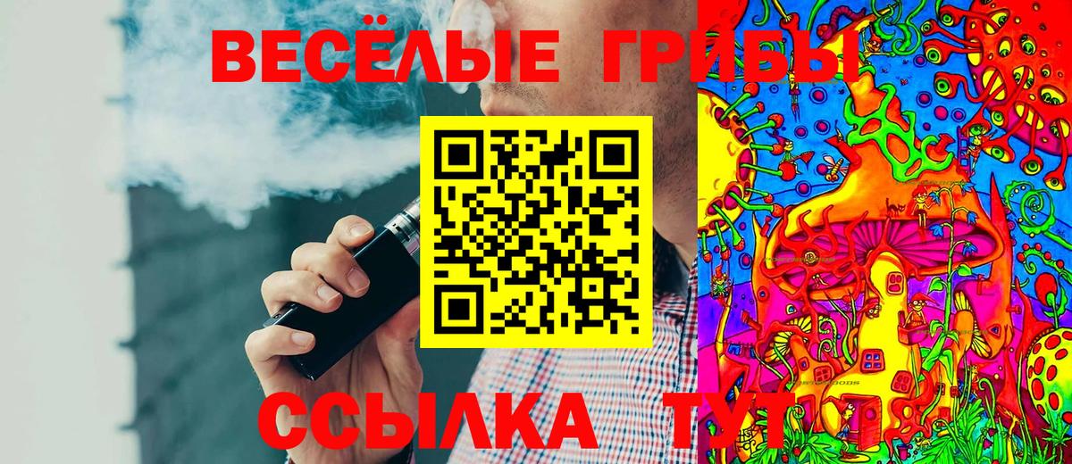 Краснокаменск  Псилоцибиновые грибы Magic Shrooms  наркота  Вход с VPN  Псилоцибиновые грибы ЛСД 