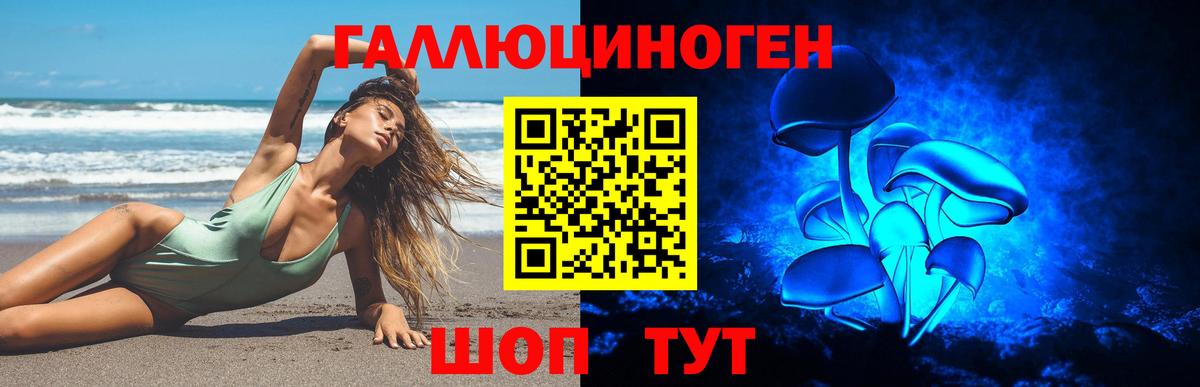 Псилоцибиновые грибы Psilocybe Краснокаменск